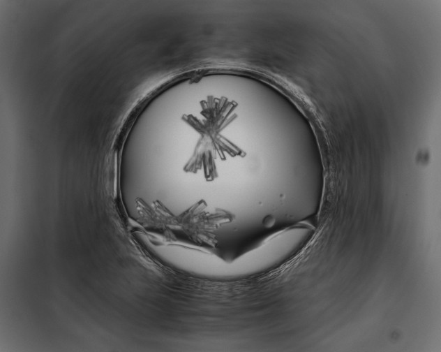 X0000098081223200804251505