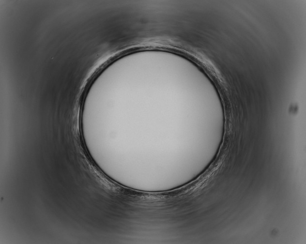 X0000098081224200804251506