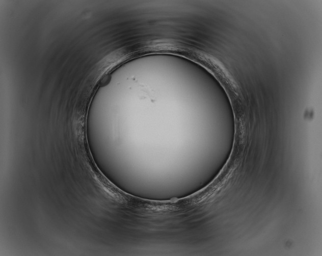 X0000098081225200804251506