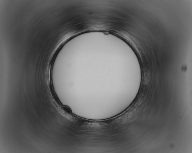 X0000098081227200804251506