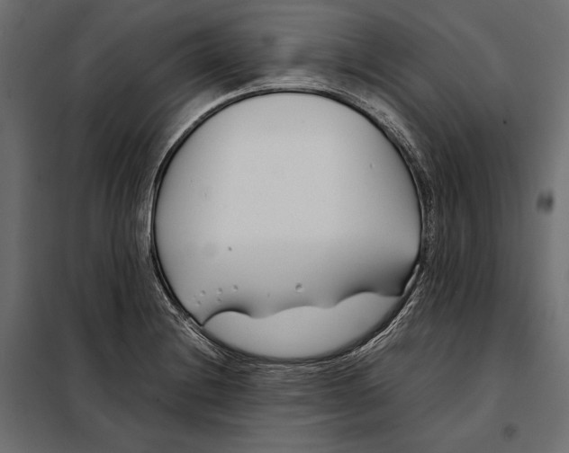 X0000098081228200804251506