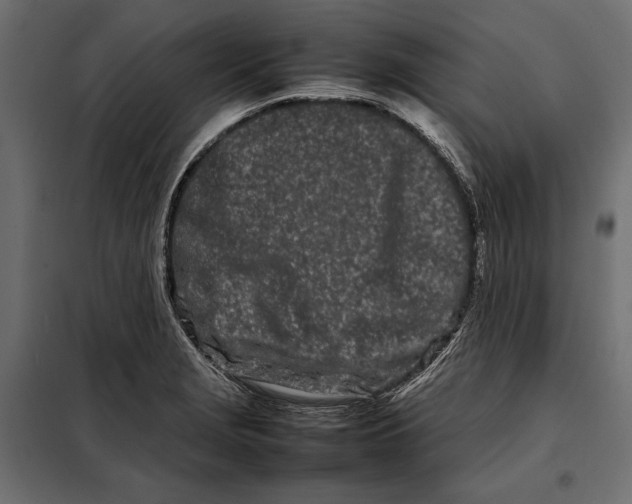 X0000098081229200804251506