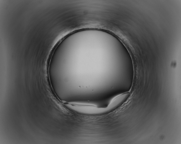 X0000098081230200804251506