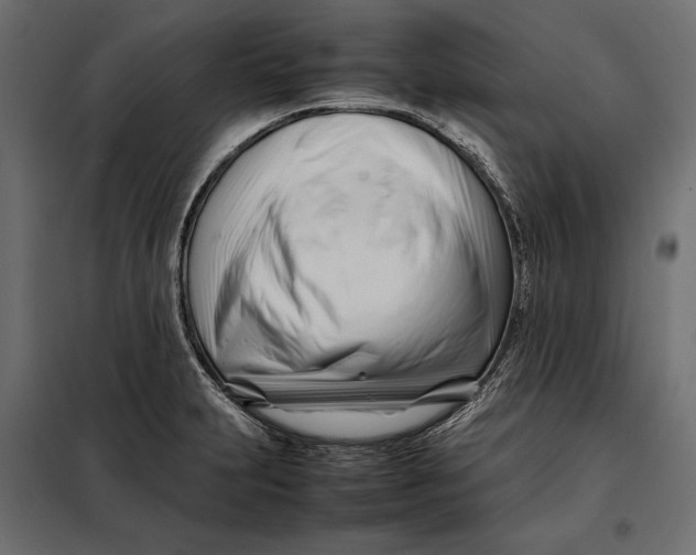 X0000098081231200804251506