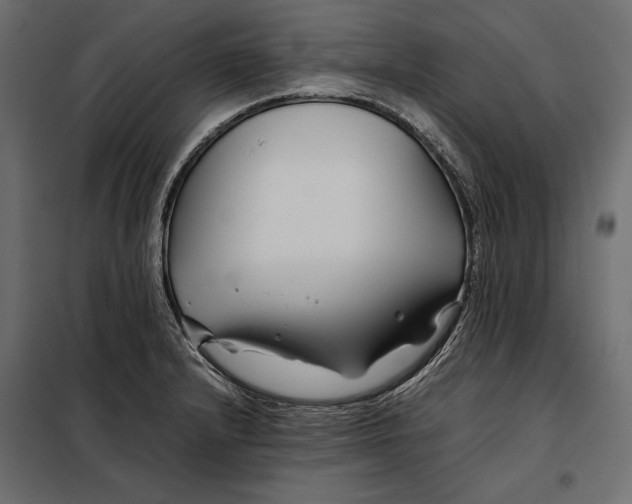 X0000098081232200804251506