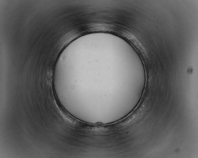 X0000098081233200804251506