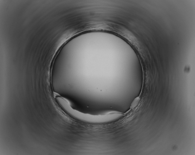 X0000098081234200804251506