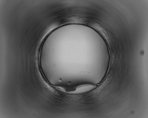 X0000098081235200804251506