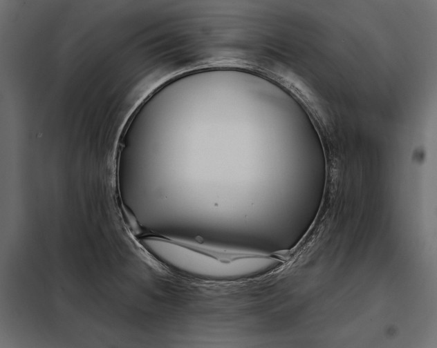 X0000098081236200804251506