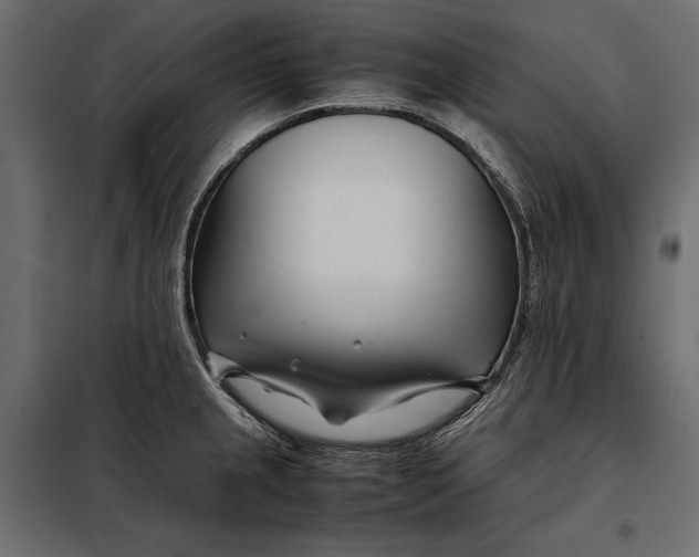 X0000098081237200804251506