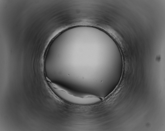 X0000098081238200804251506