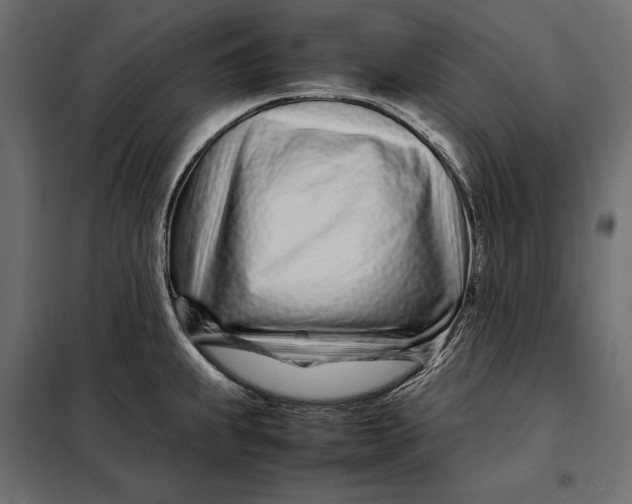 X0000098081239200804251506