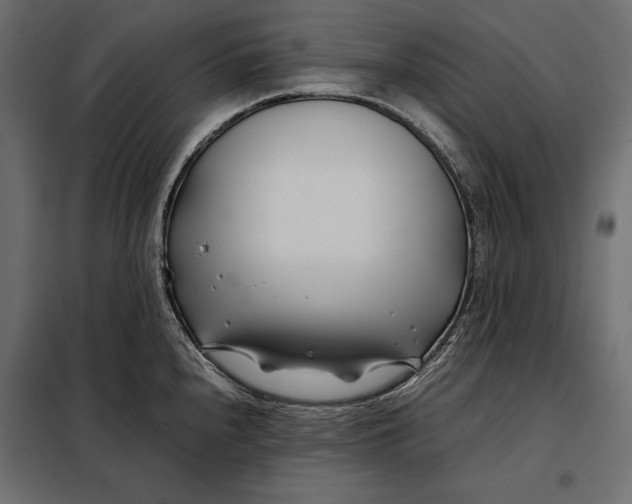 X0000098081240200804251506