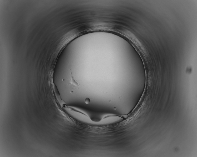 X0000098081241200804251506