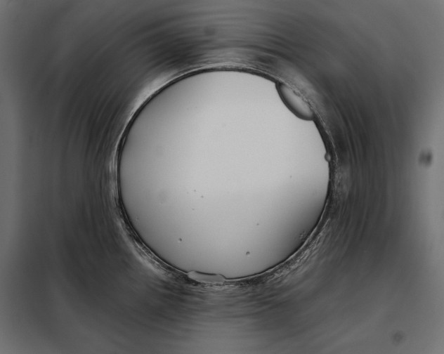 X0000098081242200804251506