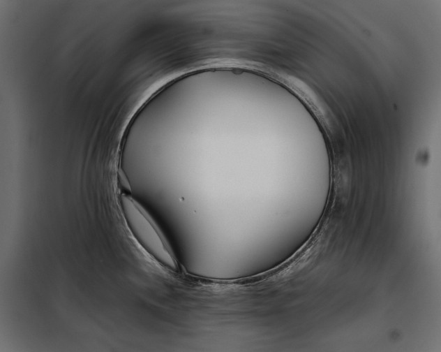 X0000098081244200804251506