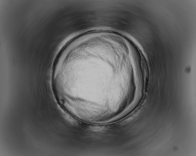 X0000098081245200804251506