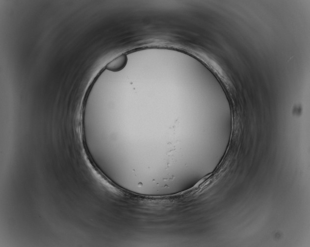 X0000098081247200804251506