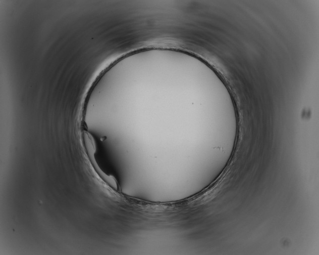 X0000098081248200804251506