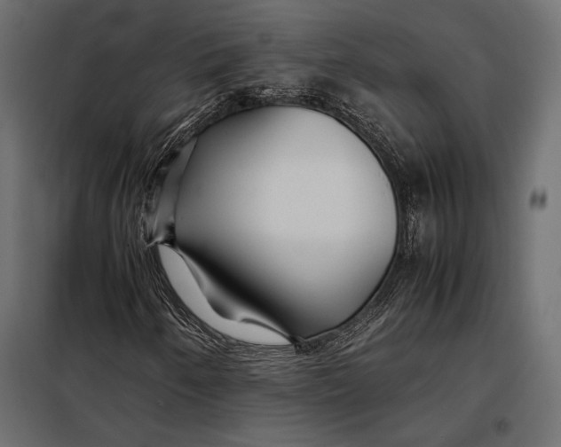 X0000098081250200804251505