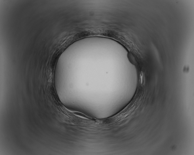 X0000098081251200804251505