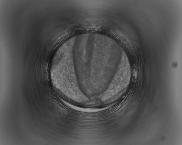 X0000098081252200804251505