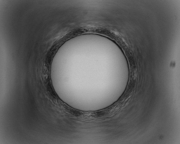 X0000098081253200804251505