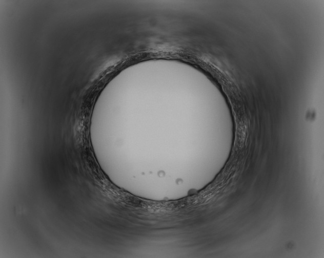 X0000098081254200804251505