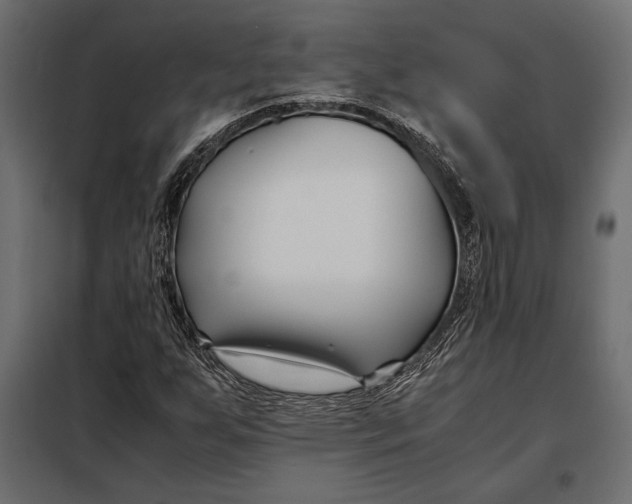 X0000098081255200804251505