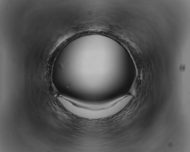 X0000098081256200804251505