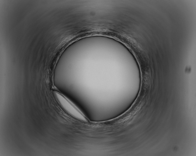 X0000098081257200804251505