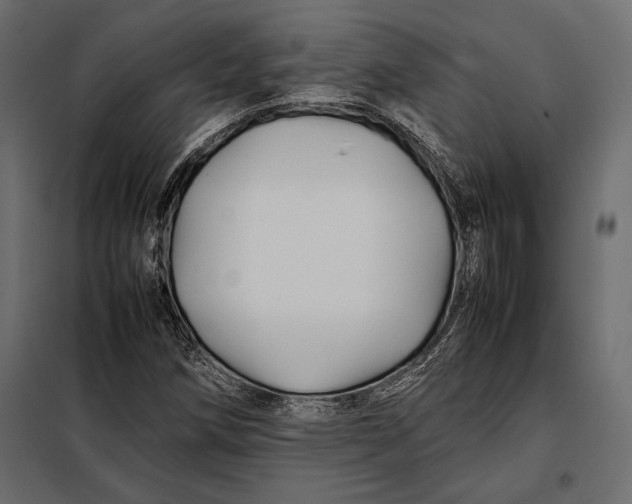 X0000098081258200804251505