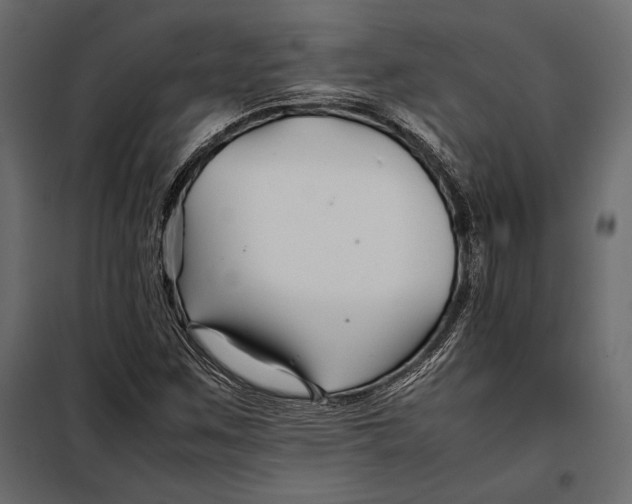 X0000098081259200804251505