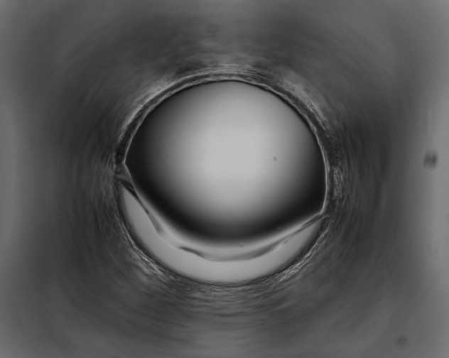 X0000098081260200804251505