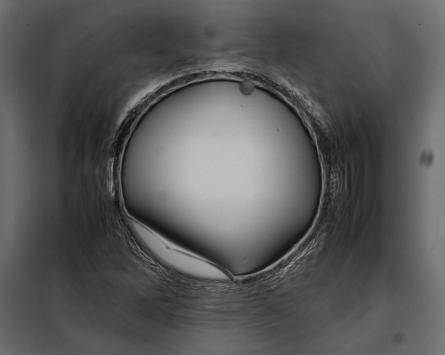 X0000098081262200804251505