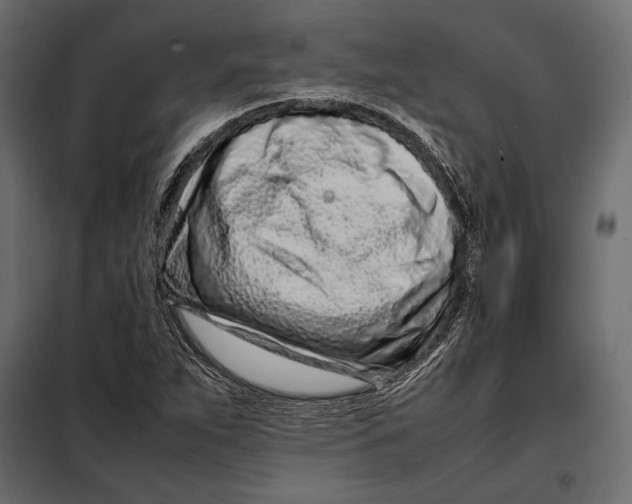 X0000098081263200804251505