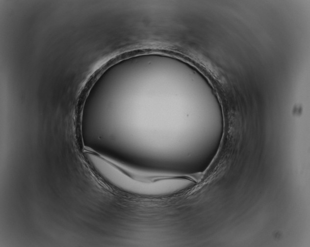 X0000098081264200804251505