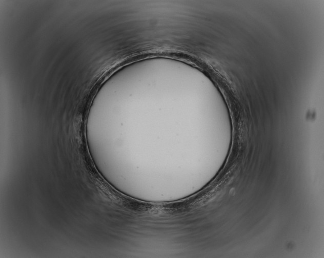 X0000098081265200804251505