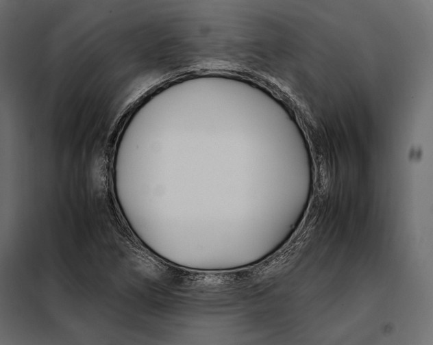 X0000098081266200804251505