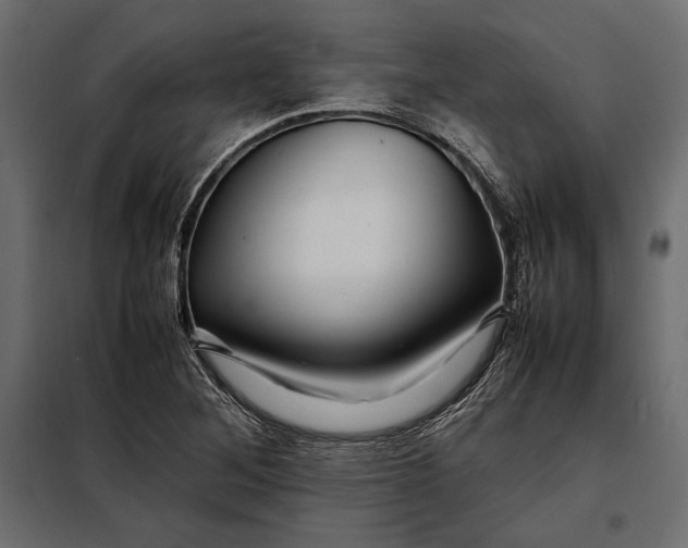 X0000098081268200804251505