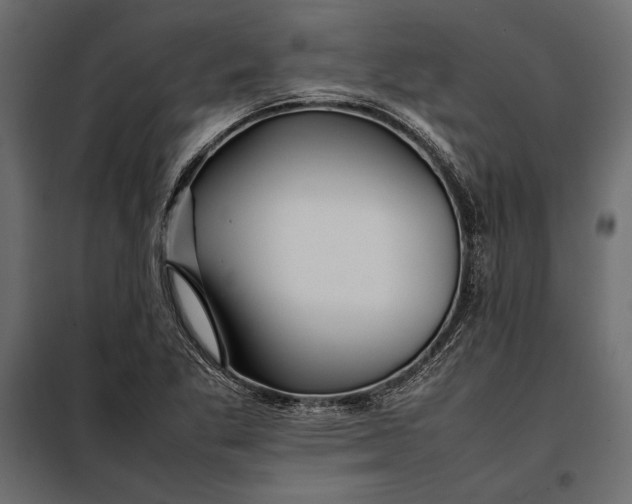 X0000098081269200804251505