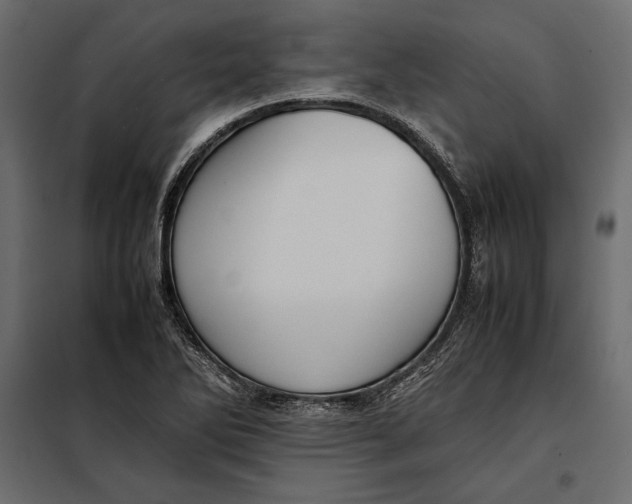 X0000098081270200804251505