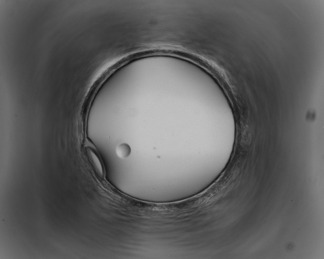 X0000098081271200804251505