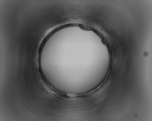 X0000098081272200804251505