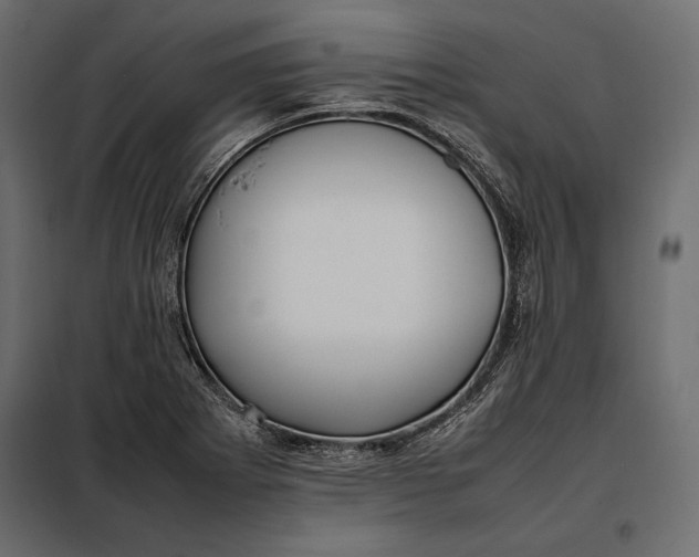 X0000098081273200804251505