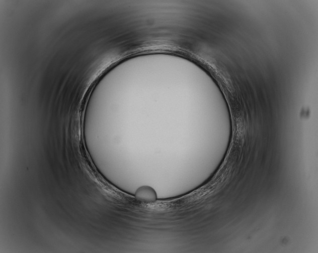 X0000098081274200804251505