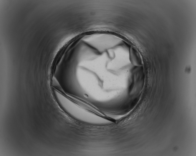 X0000098081277200804251505