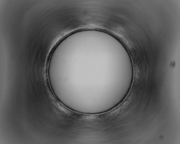 X0000098081278200804251505