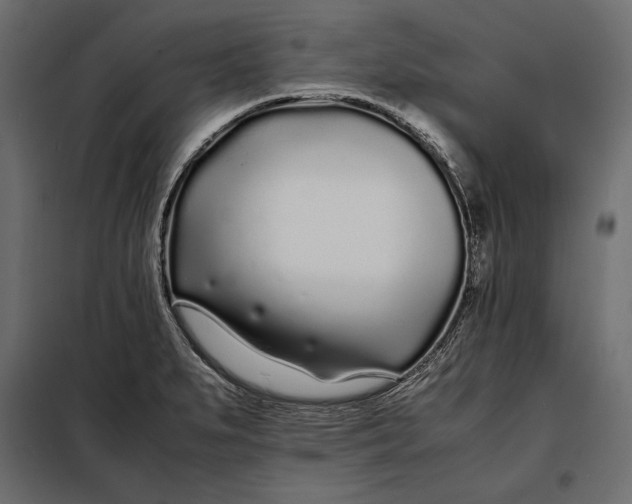 X0000098081279200804251505