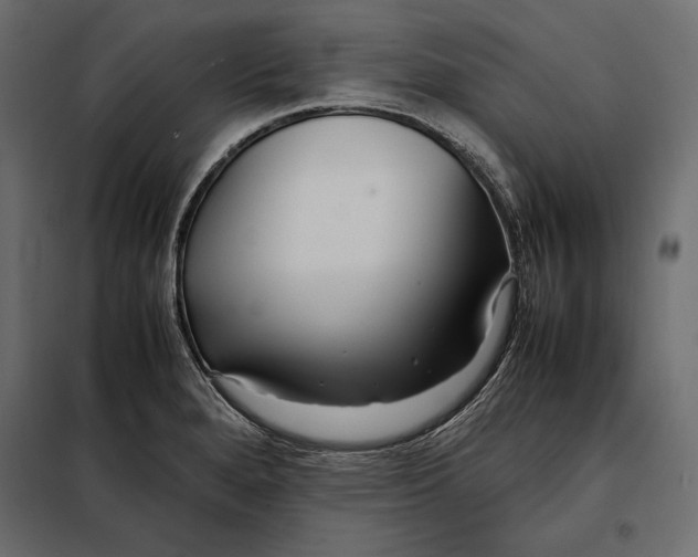 X0000098081280200804251505